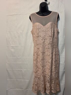 Sleeveless Lace Midi Dress in Light Blush